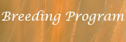 Breeding Program